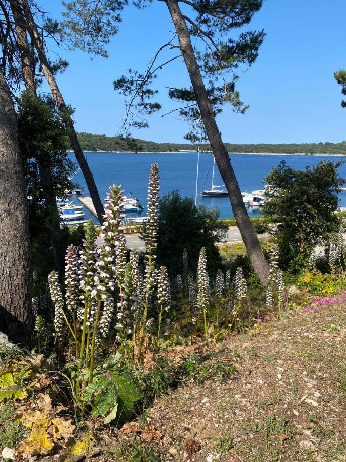 Apartments Tasha Mali Lošinj Exterior foto